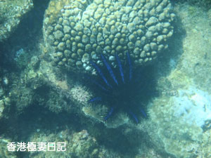 f0190653_9191055.jpg