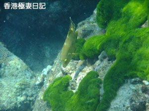 f0190653_91922100.jpg