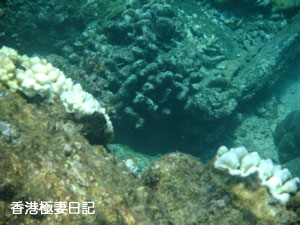 f0190653_9193325.jpg