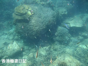 f0190653_9194963.jpg