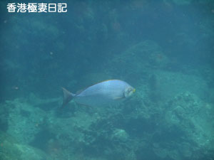 f0190653_92015100.jpg