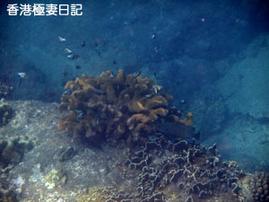 f0190653_920253.jpg