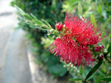 d0029958_12213522.jpg