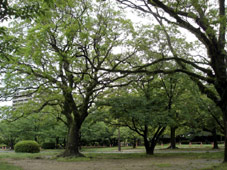 d0029958_12223676.jpg