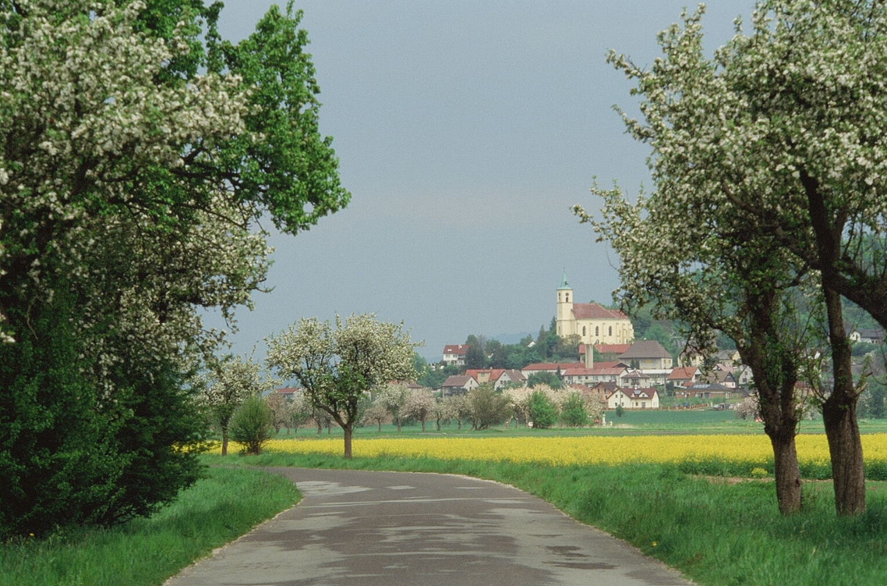 e0134658_6572837.jpg