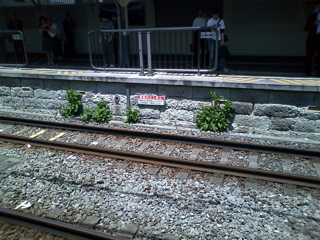 b0024261_21463543.jpg