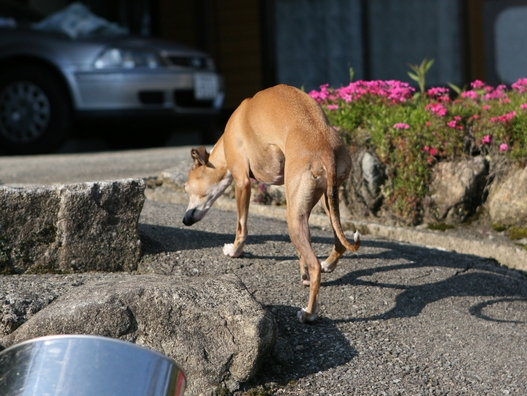 f0158862_2010277.jpg