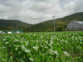 f0055264_19595562.jpg