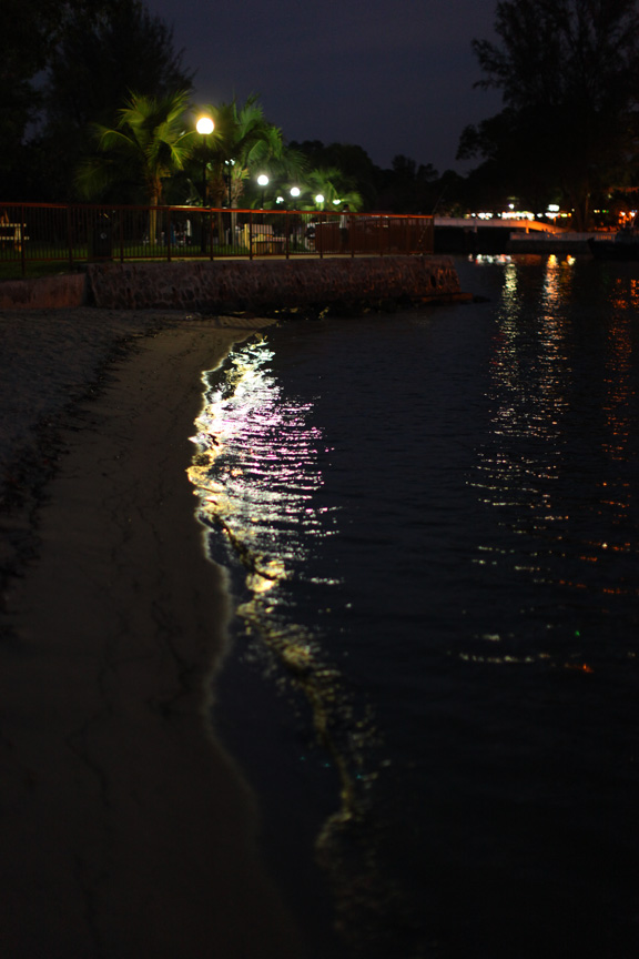 b0149365_2533895.jpg