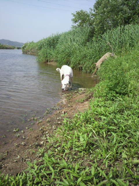 c0215871_13534079.jpg