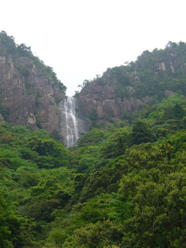 d0126573_4135537.jpg