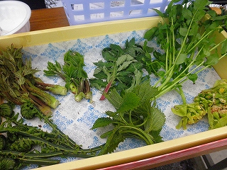 f0182173_10223143.jpg