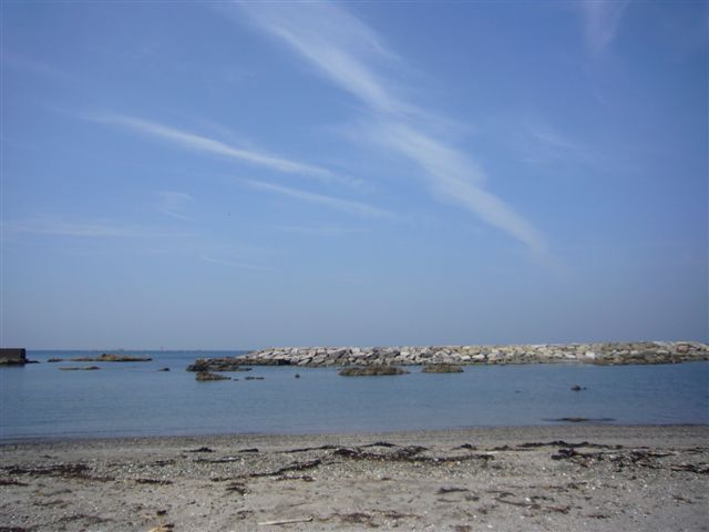 b0184974_673210.jpg
