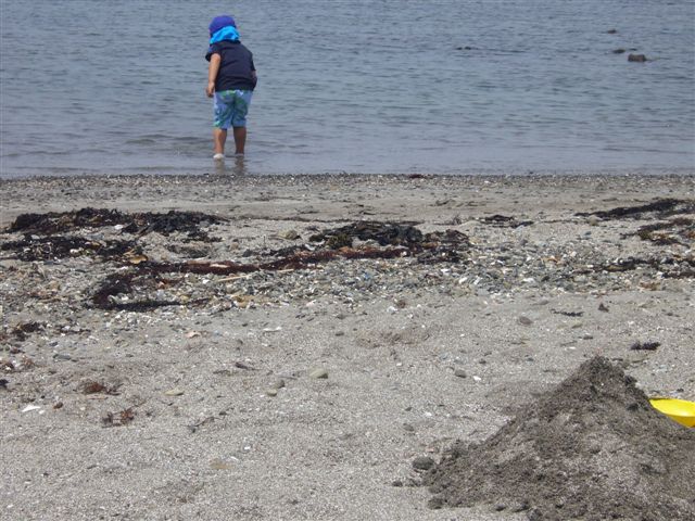 b0184974_682643.jpg