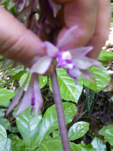 e0145782_15235136.jpg