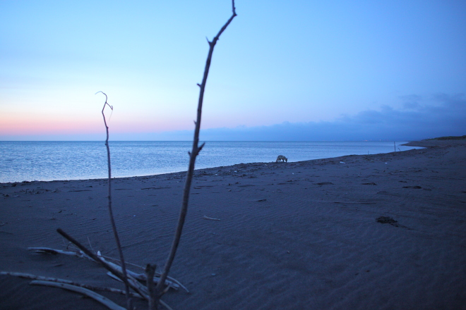 f0163583_2123325.jpg
