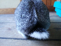 e0150087_22185939.jpg