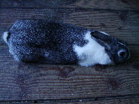 e0150087_22304723.jpg