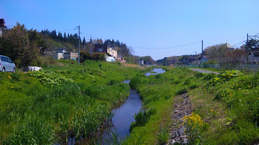 b0080189_23501557.jpg