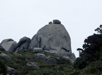 c0018489_074579.jpg
