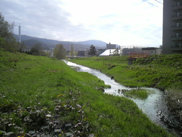 b0043191_8462825.jpg
