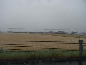 e0048994_9262421.jpg
