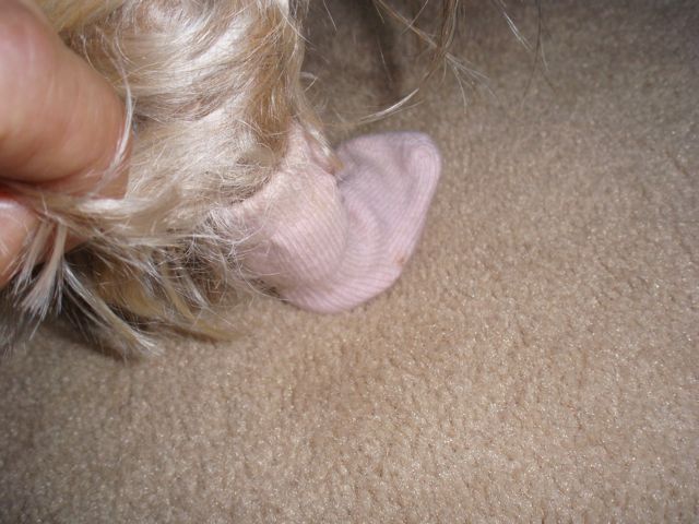 f0130894_19481380.jpg