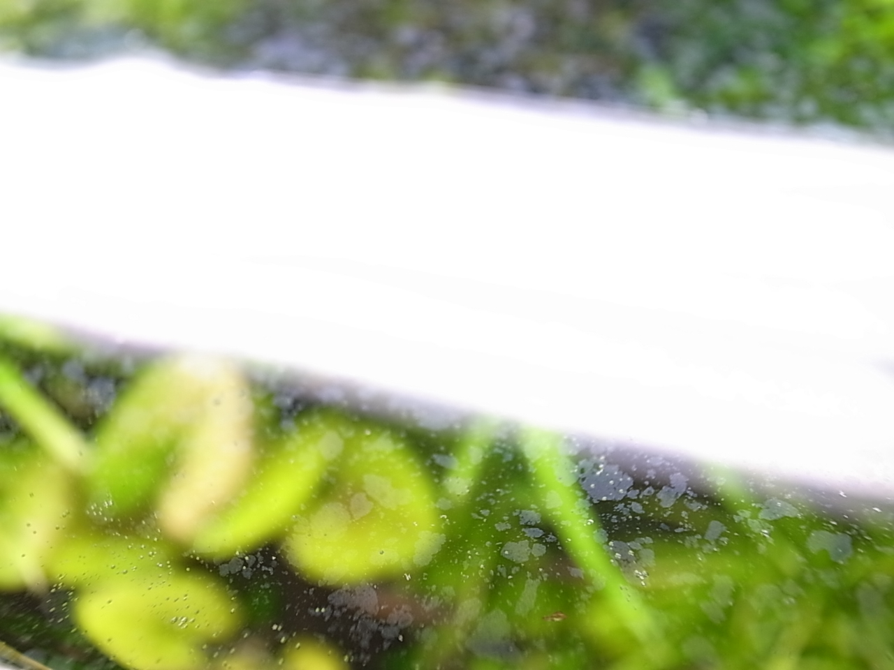 c0209896_1215587.jpg