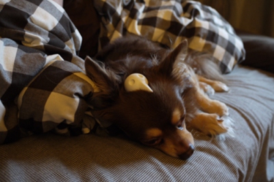 c0225297_384389.jpg