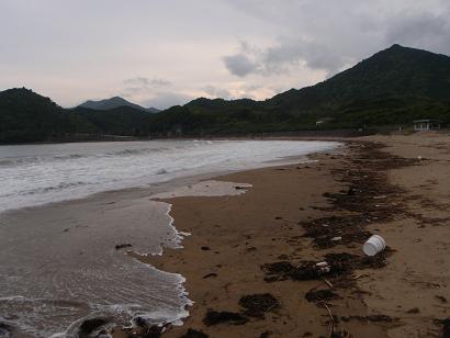 a0125598_2314342.jpg