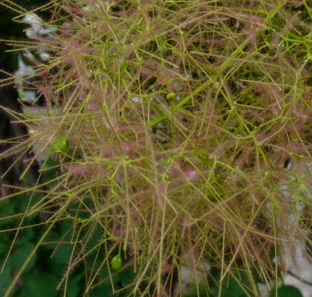 a0031000_1733154.jpg