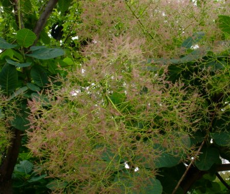 a0031000_18234692.jpg