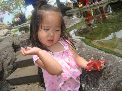 a0120901_5364257.jpg