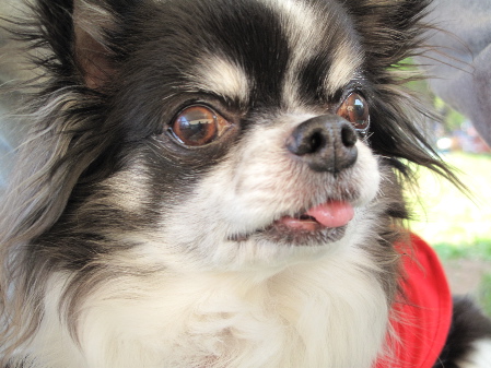 a0079803_2333499.jpg