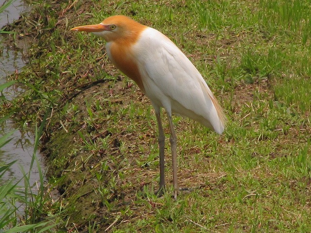 d0037110_21351145.jpg