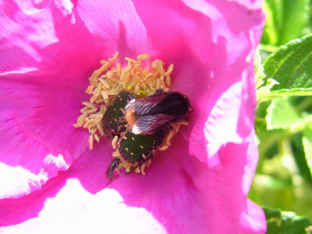 c0062511_621358.jpg