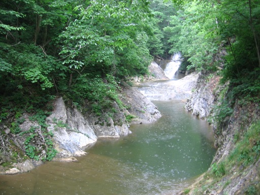 f0127915_23385632.jpg
