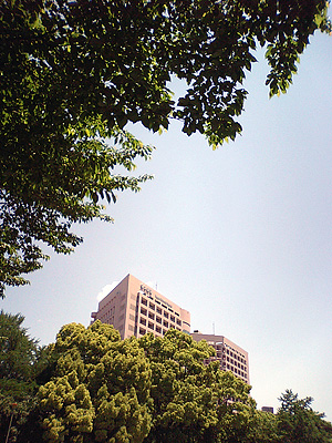 f0174020_21353481.jpg