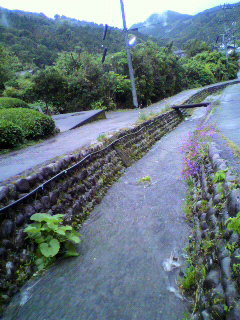 f0036223_8391647.jpg