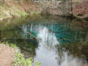 f0181524_17123668.jpg