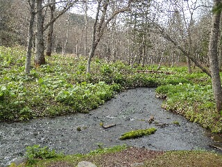 f0181524_17165153.jpg