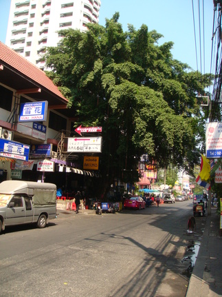 d0159325_027692.jpg