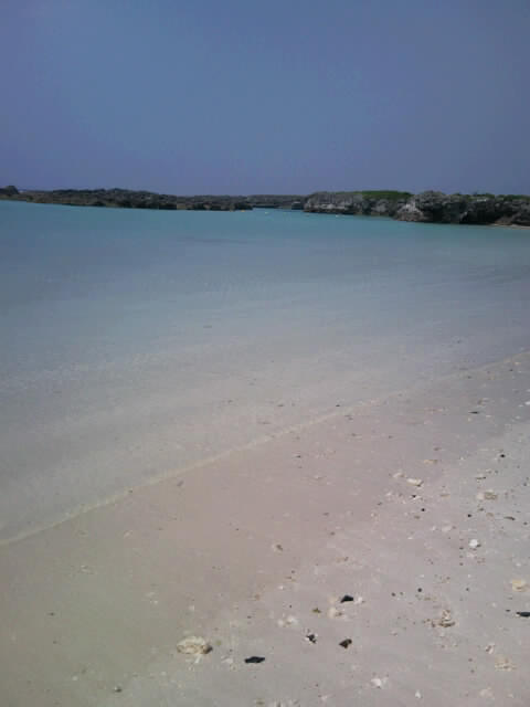 f0197325_16574815.jpg