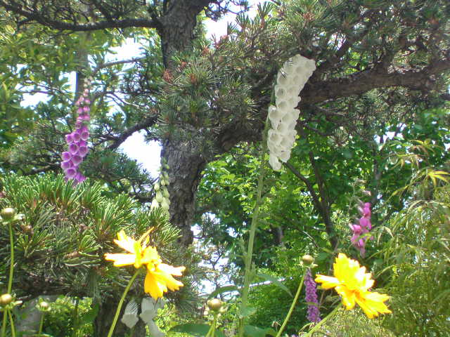 e0016828_13354922.jpg