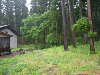 c0095731_6392620.jpg