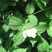 d0033734_20424421.jpg