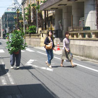 d0033734_2043097.jpg