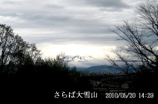 b0012636_15475855.jpg