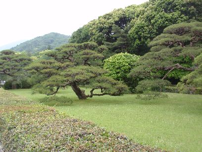 d0093936_15513526.jpg