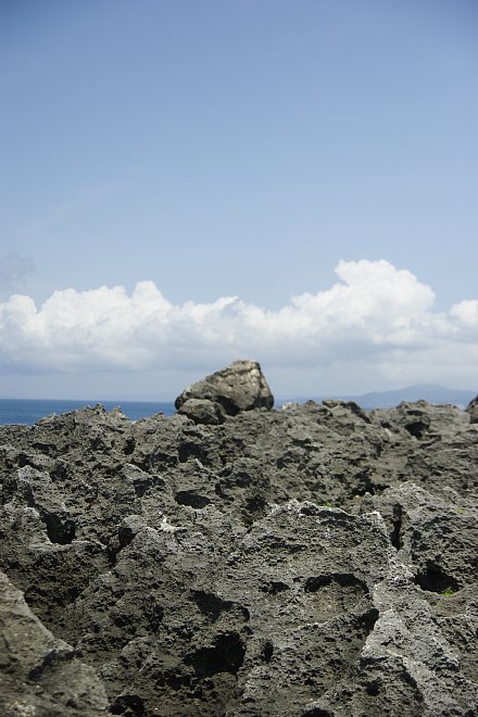 e0171336_5104246.jpg